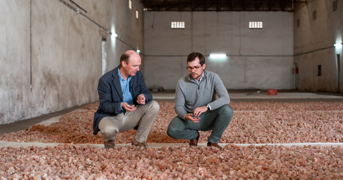 Charles Alland devient le nouveau PDG de l'entreprise familiale Alland