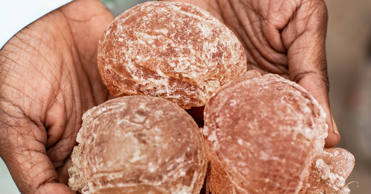 Une nouvelle ligne de production de gomme d'acacia pour Alland & Robert