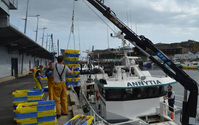Le port de pêche de Lorient, premier port en valeur de France.
