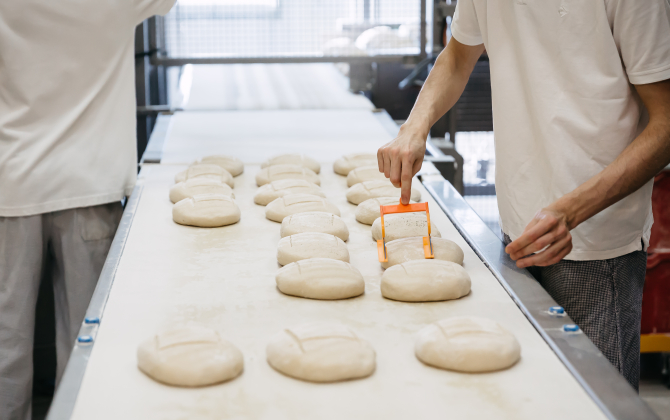 Ligne de fabrication de pain chez Biofournil (Maine et Loire)