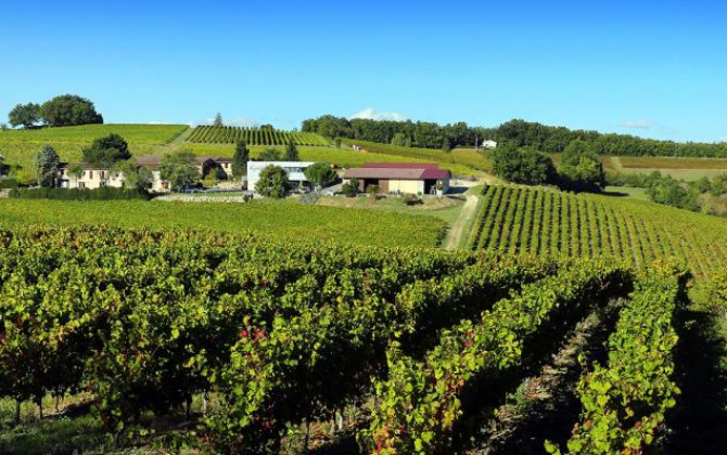 Sur les 7000 hectares de vignobles cultivés dans le Tarn, 3000 sont en appellation d'origine protégée Gaillac.