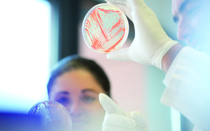 Deinove explore le potentiel des bactéries rares, considérées jusqu’à présent comme incultivables.