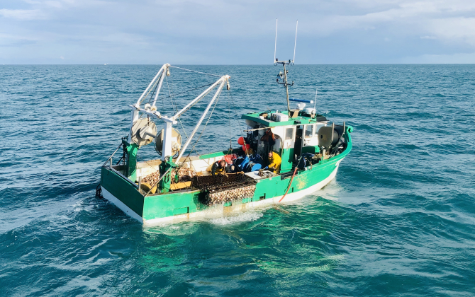 La campagne de pêche à la coquille Saint-Jacques en Baie de Saint-Brieuc a débuté le 4 octobre et se prolongera jusqu’au 15 mai.