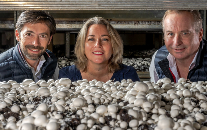 Emmanuelle Roze-Chapuzet, son mari Fabrice Chapuzet et son frère Benoît Roze ont monté leur première champignonnière en 2015, à Poilley. Celle de Landivy est la deuxième à entrer en production.
