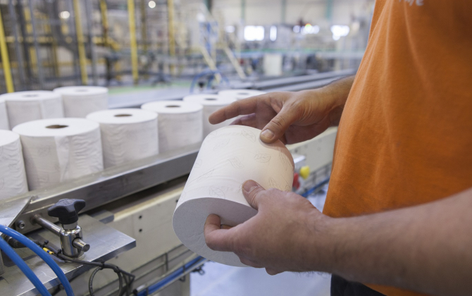 Une fois récupérées et recyclées, les fibres servent à la fabrication de papier toilette.