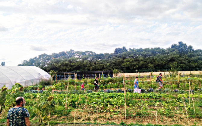 Les carrés maraîchers d’Edenn permettent à une cinquantaine de familles des quartiers nord de Toulouse de bénéficier d’une alimentation saine et durable.