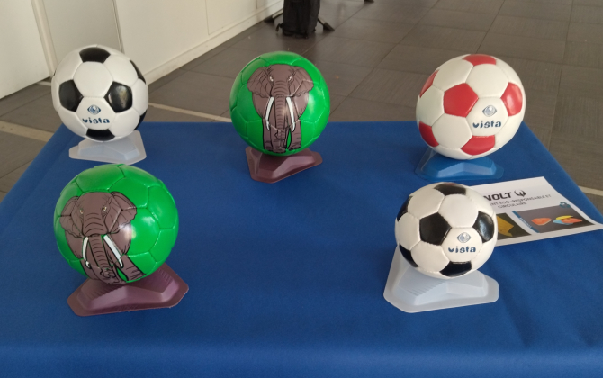 Vista propose une gamme de ballons rétro et une gamme de ballons "animaux" en trois tailles, vendus entre 30 et 50 euros.