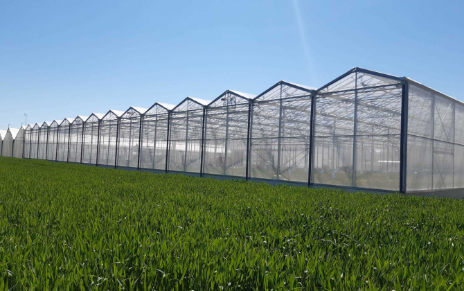 Le groupe nantais CMF exporte des serres plastiques pour l’agriculture en Suisse.