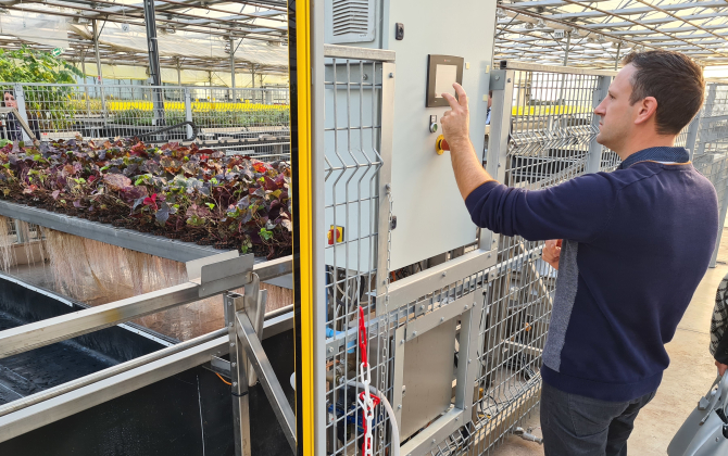 Dans les serres de Plant Advanced Technologies, à Laronxe, les équipes de la biotech récoltent les molécules contenues dans les racines des plantes. 