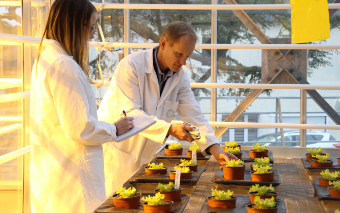 Fruit de ses recherches, Bio3G pourrait sortir un biostimulant de résistance des végétaux au stress hydrique en 2024.