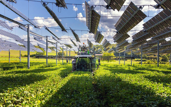 Les machines agricoles peuvent circuler sous la canopée agri-photovoltaïque, sans avoir à modifier leurs habitudes.