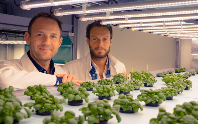Nicolas Seguy et Gilles Dreyfus, confondateurs et codirgeants de Jungle Corp, une agritech qui mise sur l’agriculture verticale.