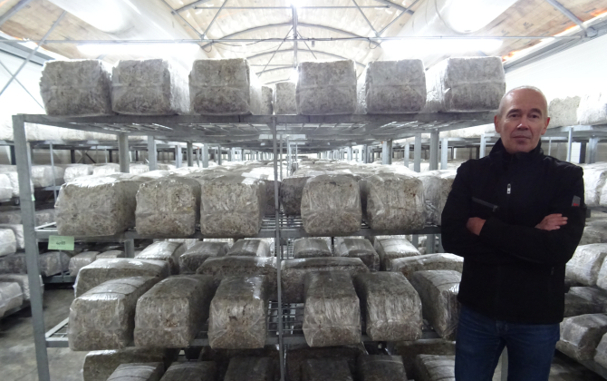 Jean-Marc Gillouard, ici dans l’une des salles d’incubation, a repris le fabricant de substrat de champignons exotiques en 2016.