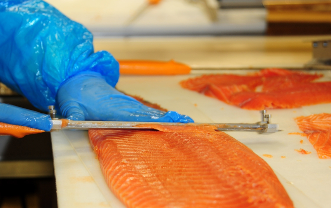 2,5 millions d’euros ont été investis dans le site de découpe de saumon fumé du groupe Guyader Gastronomie à Châteauneuf-du-Faou.