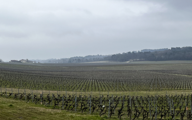70 % des exploitants agricoles girondins, dont l’essentiel sont viticulteurs, gagnaient moins que le SMIC en 2021.