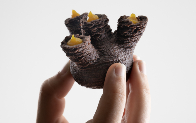 L’imprimante 3D culinaire mise au point par la start-up normande La Pâtisserie Numérique est capable de réaliser des structures comestibles en trois dimensions.