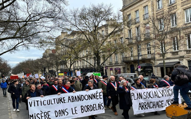 Manifestation de viticulteurs à Bordeaux en décembre 2022.