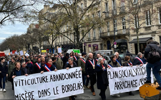Plusieurs centaines de personnes ont manifesté ce mardi 6 décembre à Bordeaux pour défendre une aide à l’arrachage dans le vignoble bordelais.