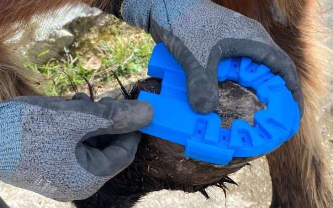 Le Sabot Français produit des semelles pour chevaux en plastique.