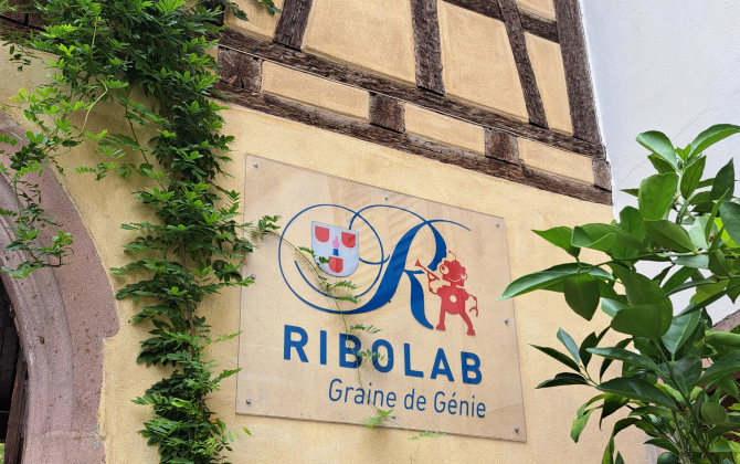 Ouvert en 2018, Ribolab rayonne largement au-delà de Ribeauvillé avec ses formations dédiées au numérique.