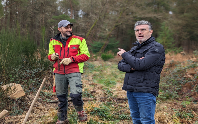 Stéphane Kerdodé, le fondateur de la distillerie de la Mine d’Or, a noué un partenariat avec l’ONF pour planter 6 000 arbres dans deux forêts bretonnes.