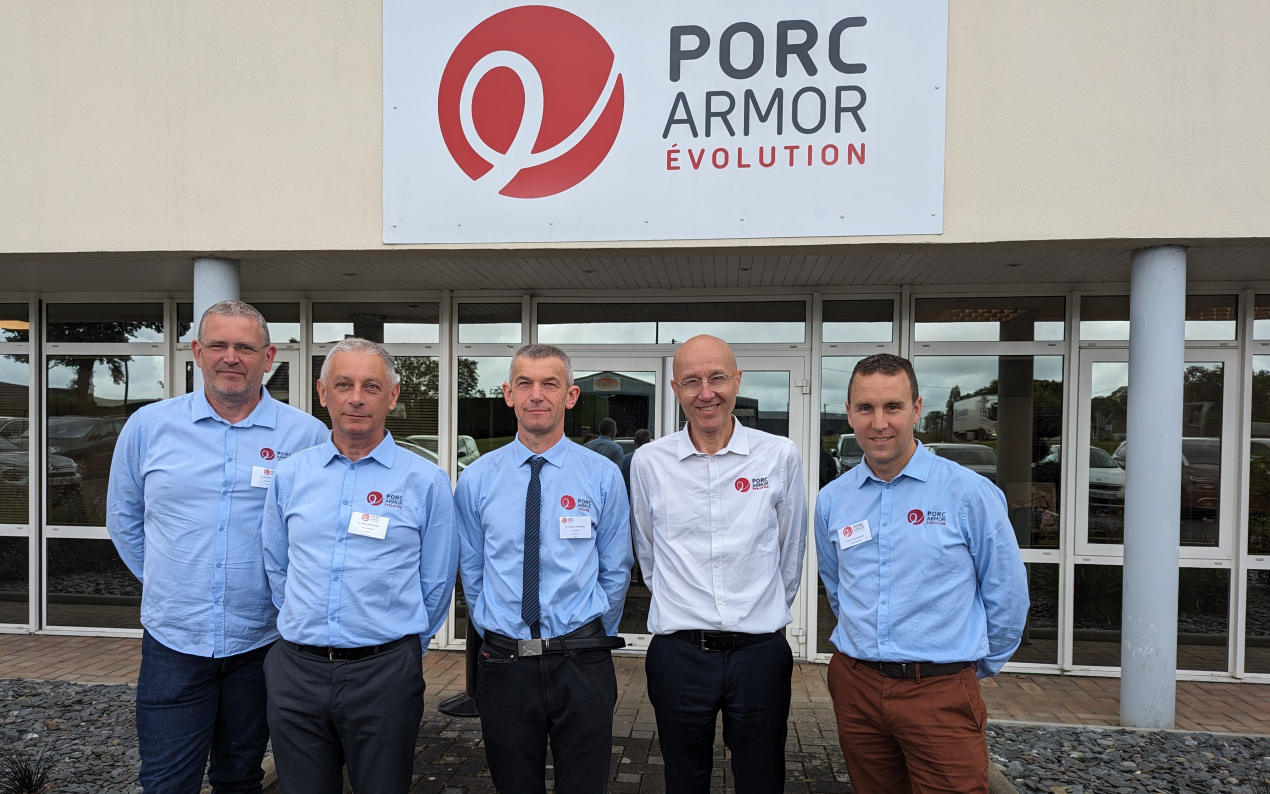 porc-armor-volution-continue-de-miser-sur-la-mont-e-en-gamme-des