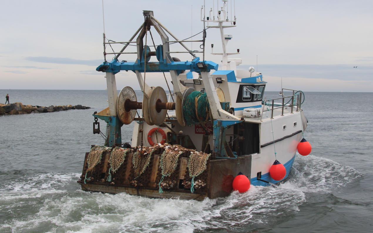Dimitri Rogoff (CRPMEM) : "Il est nécessaire de mettre en place des aides structurelles pour les pêcheurs"