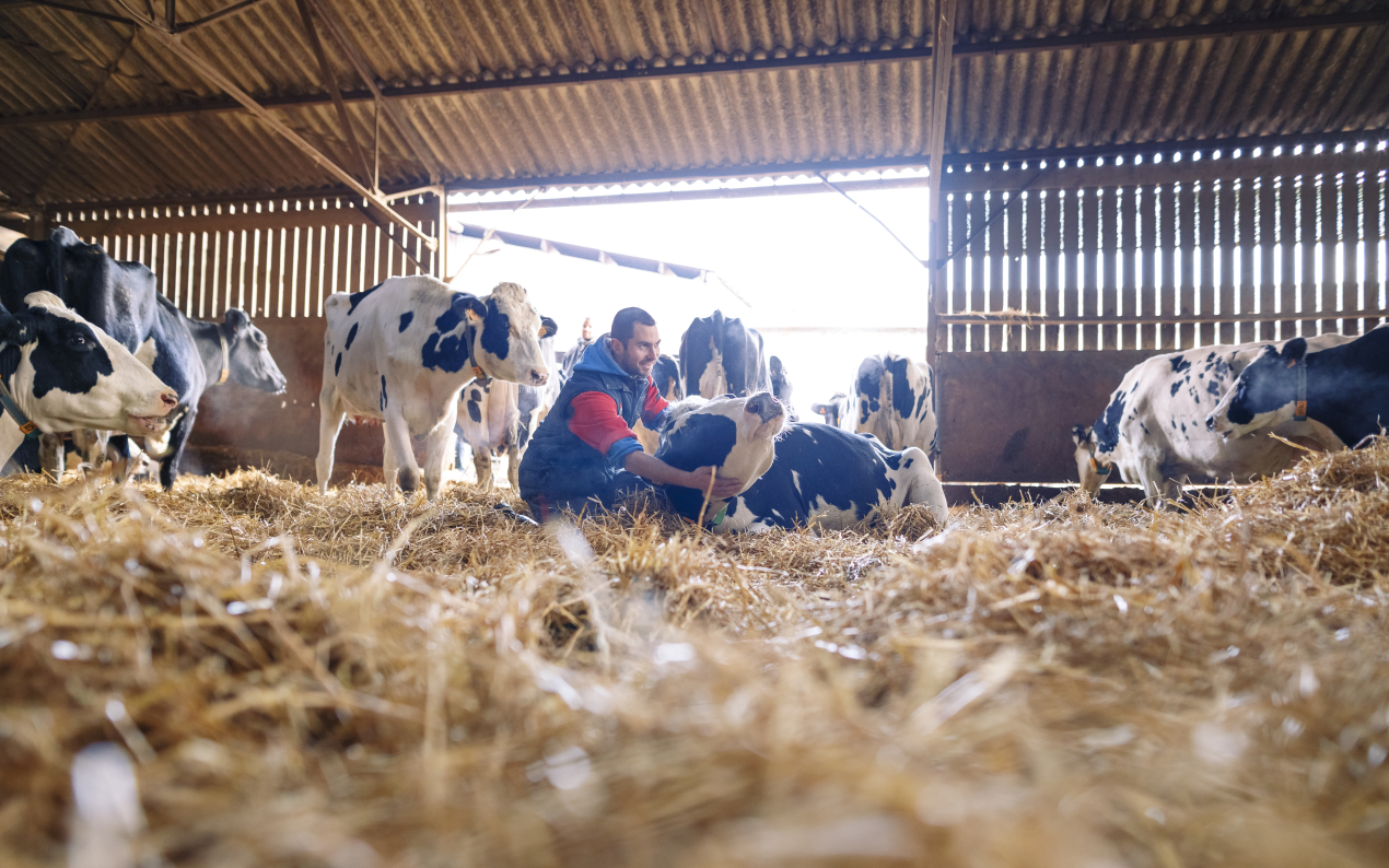 +7,7 % de croissance pour Virbac au premier trimestre 2026