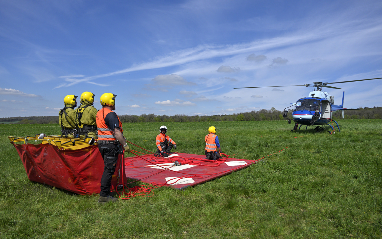 RTE vient de poser 800 balises pour éloigner les cigognes noires de ses lignes à haute tension