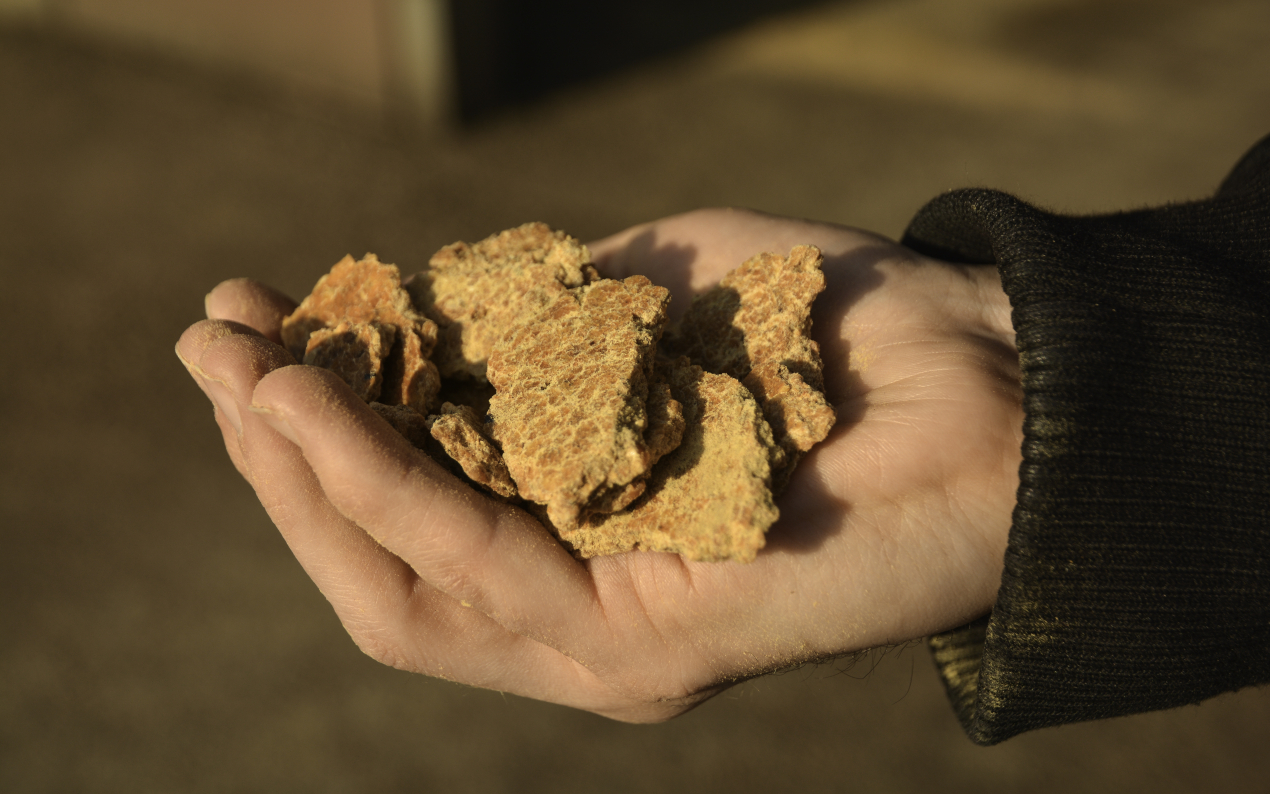 Le SNIA chiffre à 950 millions d'euros les besoins d'investissement de la nutrition animale d'ici 2030