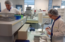 Les Laboratoires Boiron préparent, depuis leur établissement rennais, 28 000 médicaments par jour, dont des tubes homéopathiques.