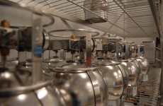 Tera Environnement figure parmi les très rares laboratoires à avoir été sélectionné pour mesurer la qualité de l’air ambiant suite à l’incendie cet automne de l’usine Lubrizol, à Rouen.