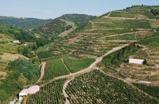 Domaine viticole des Côtes-du-Rhône