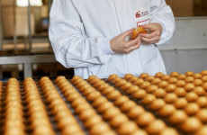 Fabrication de madeleines sur un site de la filiale Pâtisseries Gourmandes du groupe breton Roullier