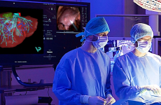 La medtech strasbourgeoise Visible Patient est spécialisée dans les visualisations en 3D d'organes utilisées dans la planification des opérations chirurgicales.