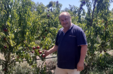 Arboriculteur bio dans les Pyrénées-Orientales, Christian Soler s’appuie sur la biodiversité pour produire des fruits et légumes.