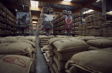 Belco source 9000 tonnes de café par an.