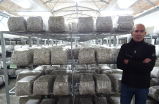 Jean-Marc Gillouard, ici dans l’une des salles d’incubation, a repris le fabricant de substrat de champignons exotiques en 2016.