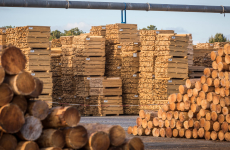Un premier appel d’offres de la Métropole du Grand Nancy concernant du bois transformé vient d’être notifié en prenant en compte l’impact carbone dans le critère de sélection.