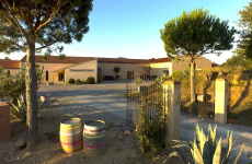 Le Domaine Sol-Payré, racheté par MDV, vend près de 180 000 bouteilles par an.