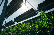 Des panneaux solaires pivotants de TSE sur un champ : un exemple des projets destinés à atteindre l’autonomie énergétique en Mayenne. L’agrivoltaïsme devient une nouvelle solution dans ce département très agricole.