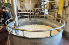Le site de fabrication de pâte à papier de Saint-Marcel-lès-Annonay de Canson vient d’investir dans une chaudière biomasse.