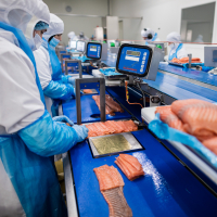 Spécialiste du saumon fumé sous marques de distributeurs, Meralliance recherche chaque année des centaines de saisonnier.