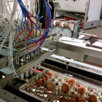 Nectra fabrique tous type de machines destinés aux couvoirs, du simple lavage des œufs à la vaccination in ovo. 