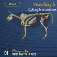 Chez BS, on apprend à découper la viande grâce à la réalité virtuelle.