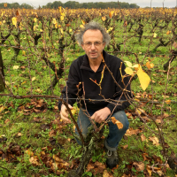 Vincent Caillé est à la tête du domaine Les Coteaux en Loire-Atlantique et exporte 10 % de son muscadet aux USA. 