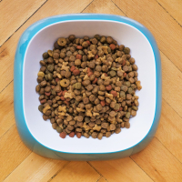 Aliments pour chiens et chats