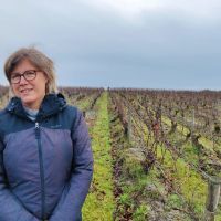 Gwenaëlle Croix, du domaine de la Pépière, à Maisdon-sur-Sèvre, cultive 42 hectares en 100 % bio.