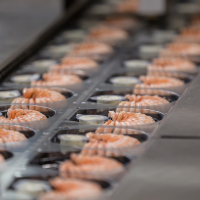 À Saint-Aignan-Grandlieu, Labeyrie Fine Foods produit actuellement 8 500 tonnes de crevettes par an, notamment pour sa marque Delpierre.