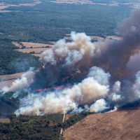 L’État met en place des aides pour les entreprises touchées par les feux de forêt.